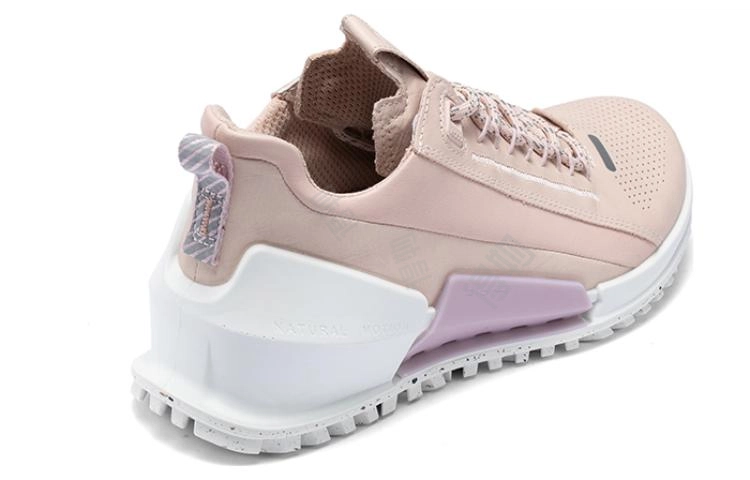 ecco 2.0