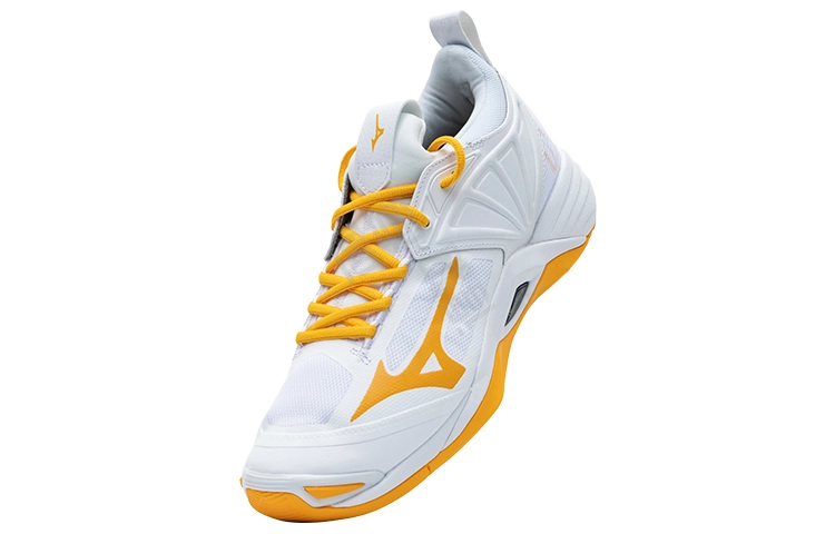 Mizuno Momentum wave 2