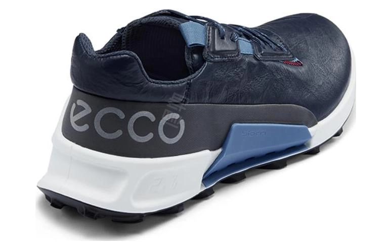 ecco 2.1