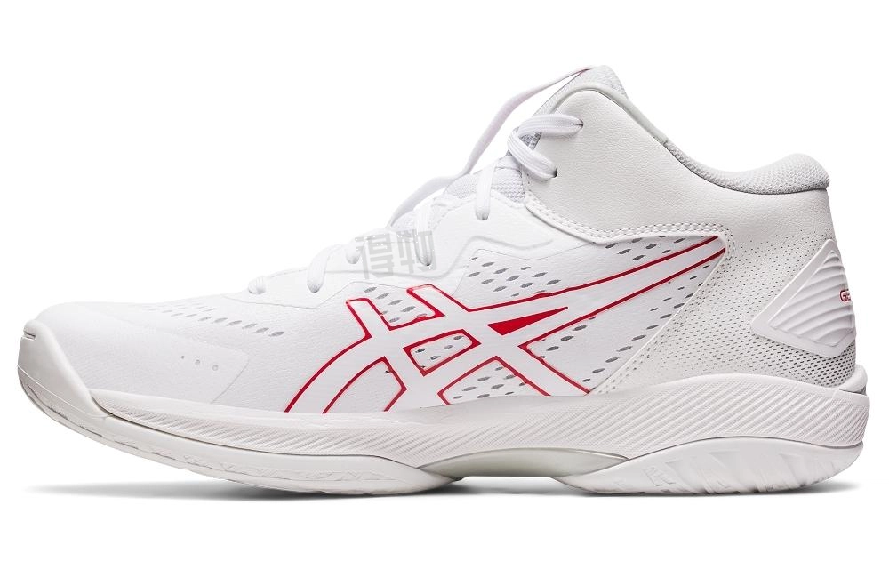 Asics Gel-Hoop V15