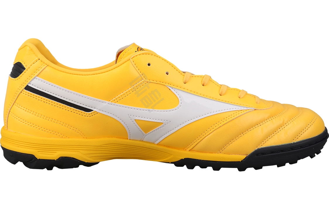 Mizuno Morelia 2 Pro AS