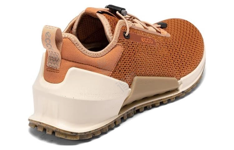 ecco 2.0