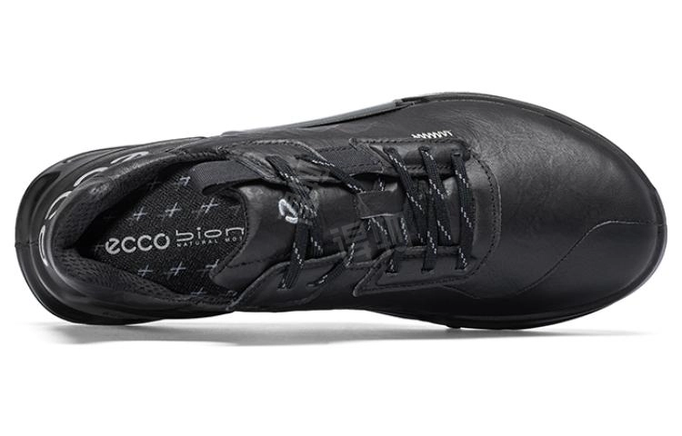 ecco 2.1