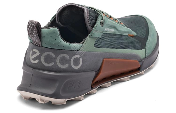 ecco 2.1