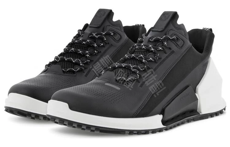 ecco 2.0