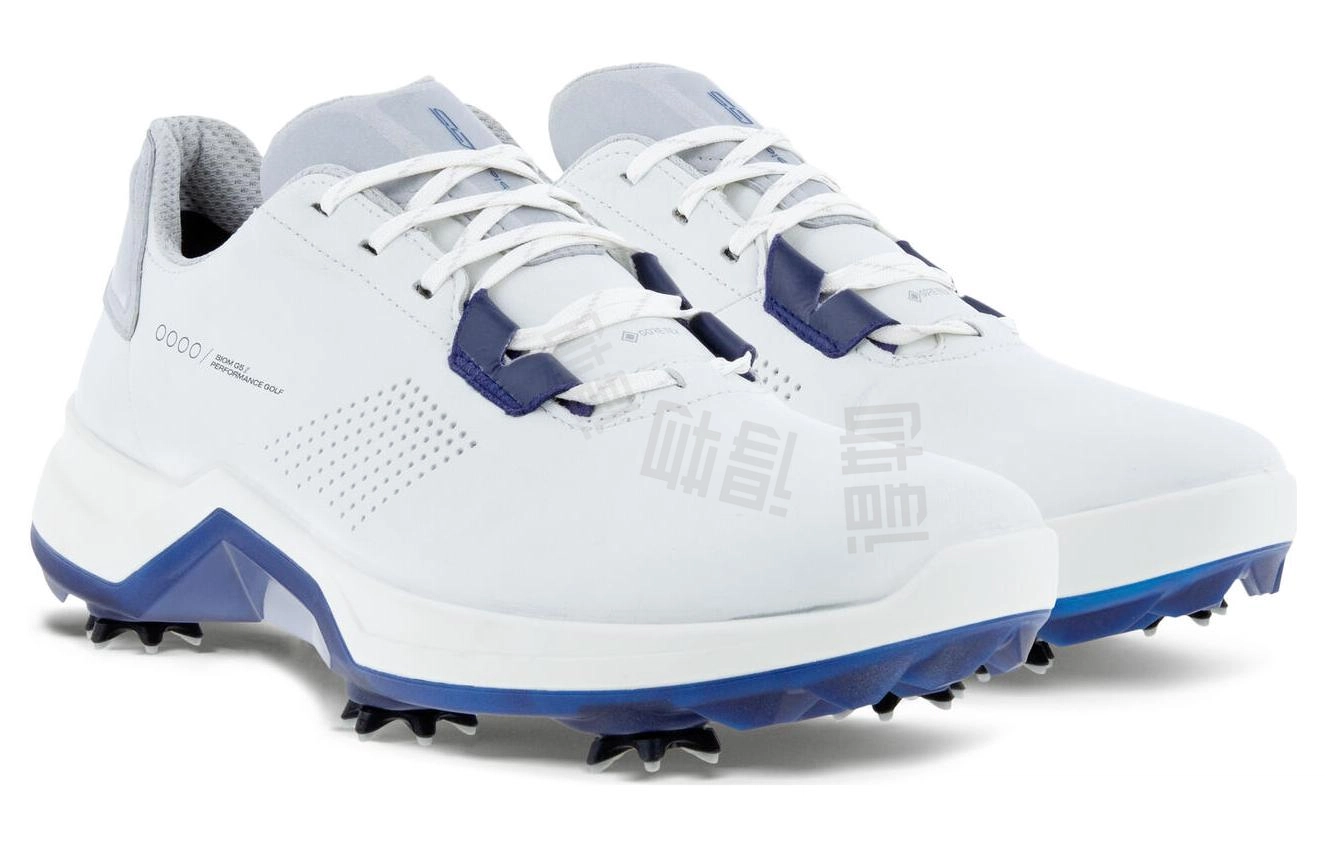 ecco Golf Biom G5