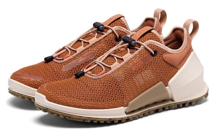 ecco 2.0