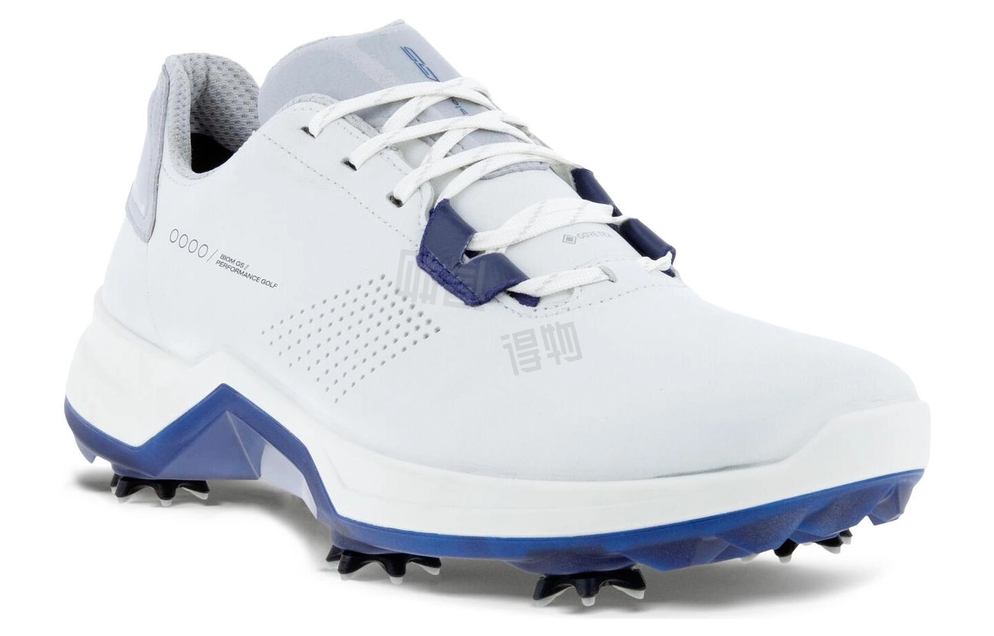 ecco Golf Biom G5