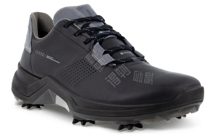 ecco Golf Biom G5