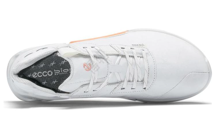 ecco 2.1
