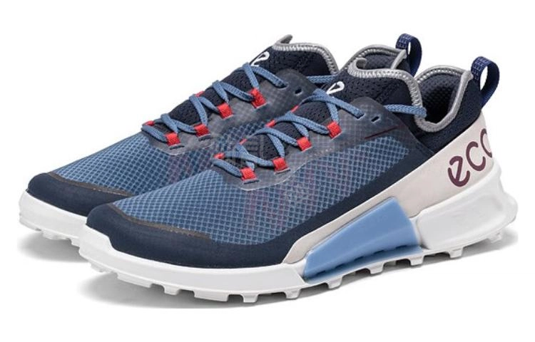 ecco 2.1