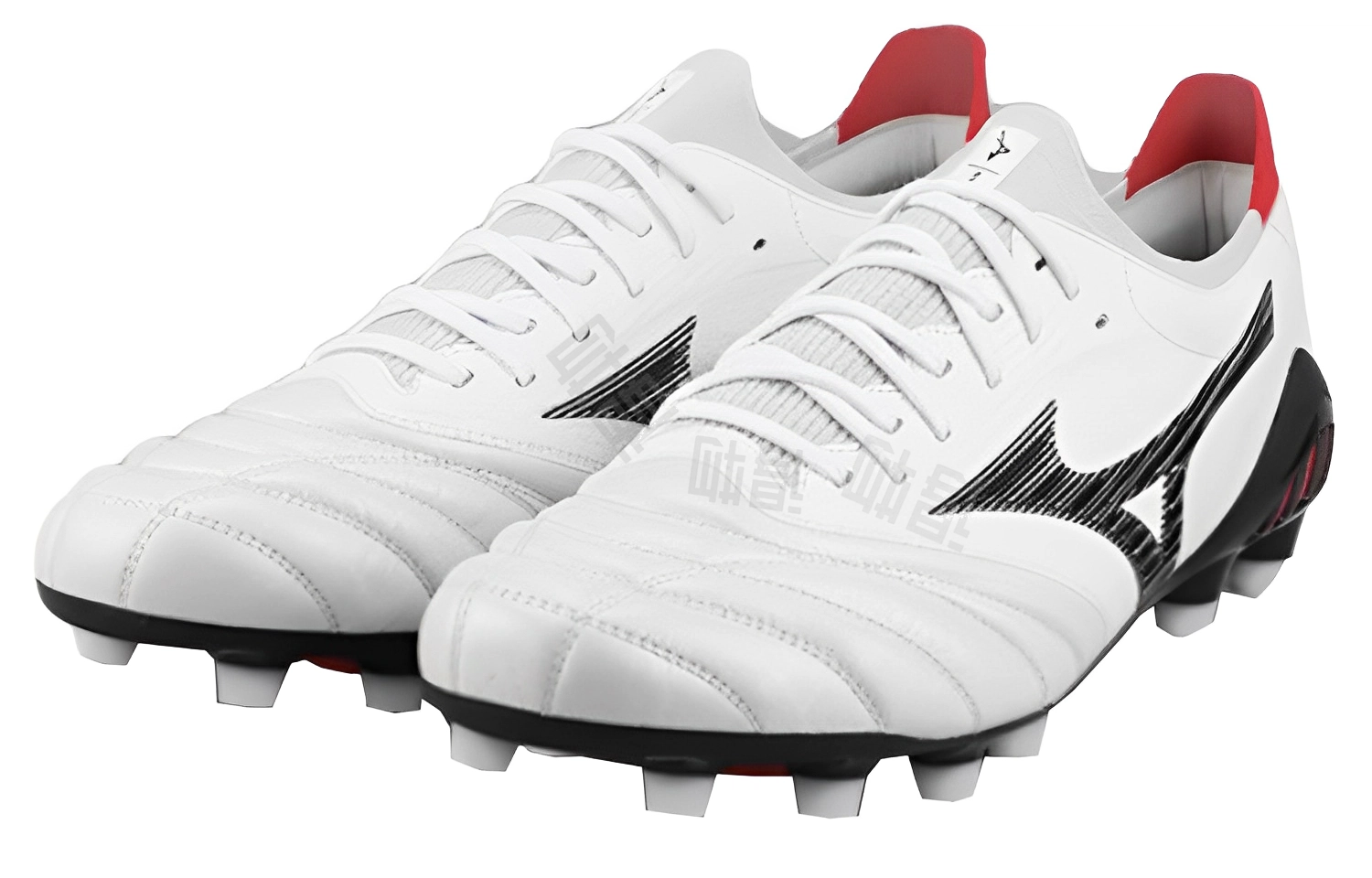Mizuno