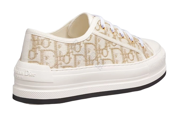 DIOR Walk'n'Dior Oblique