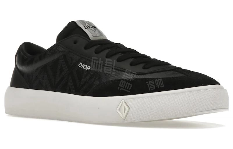 DIOR B101