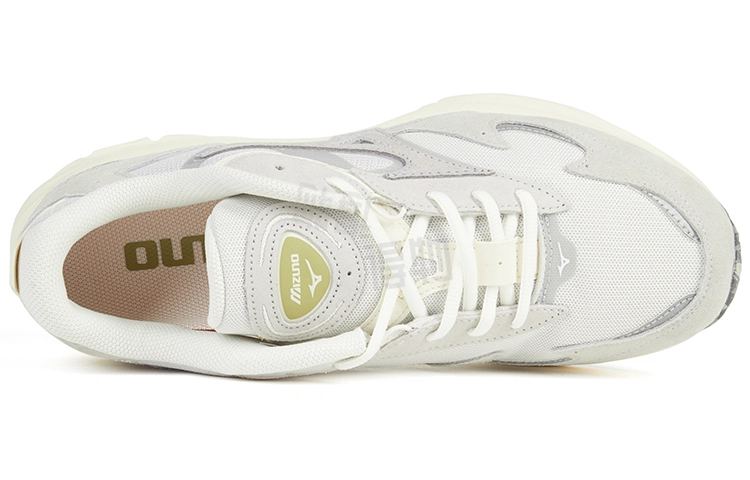 Mizuno Wave Rider
