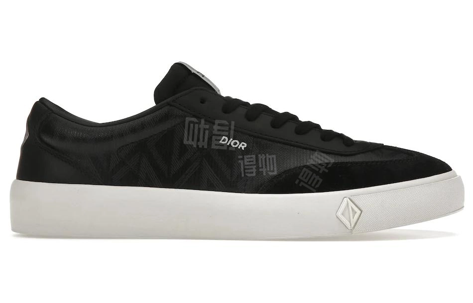 DIOR B101