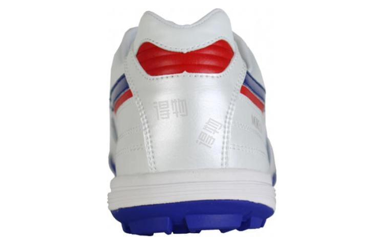 Mizuno Morelia Sala JAPAN TF