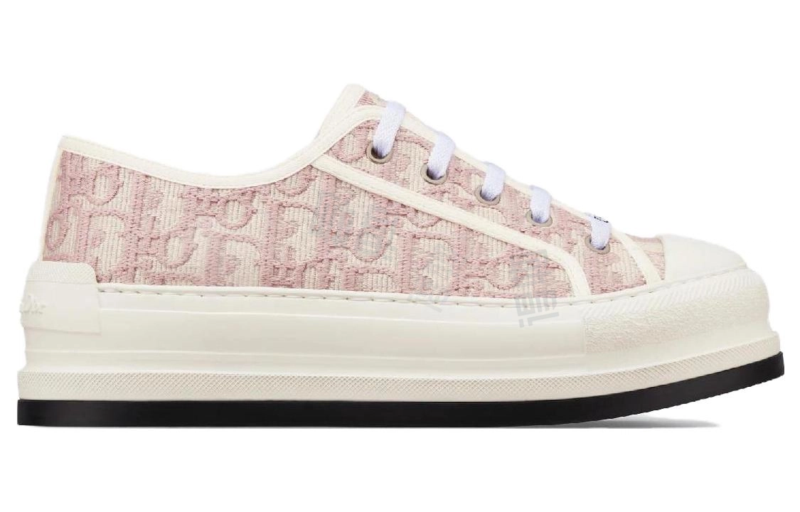 DIOR Walk'n'Dior Oblique