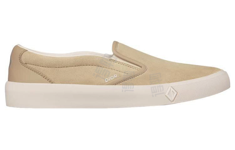 DIOR B101