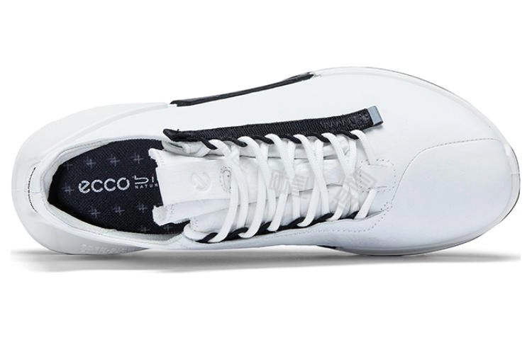 ecco 2.0