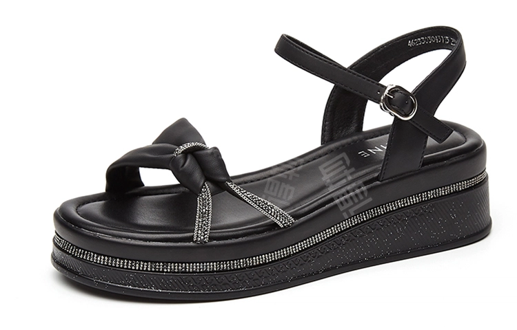 DAPHNE PU 5cm