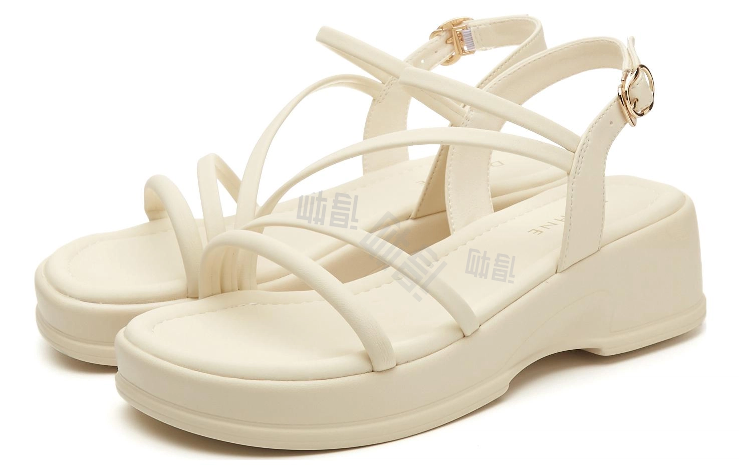 DAPHNE PU 5cm