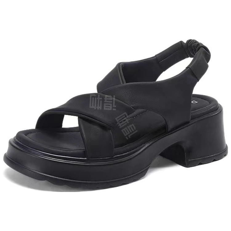 DAPHNE PU 5cm