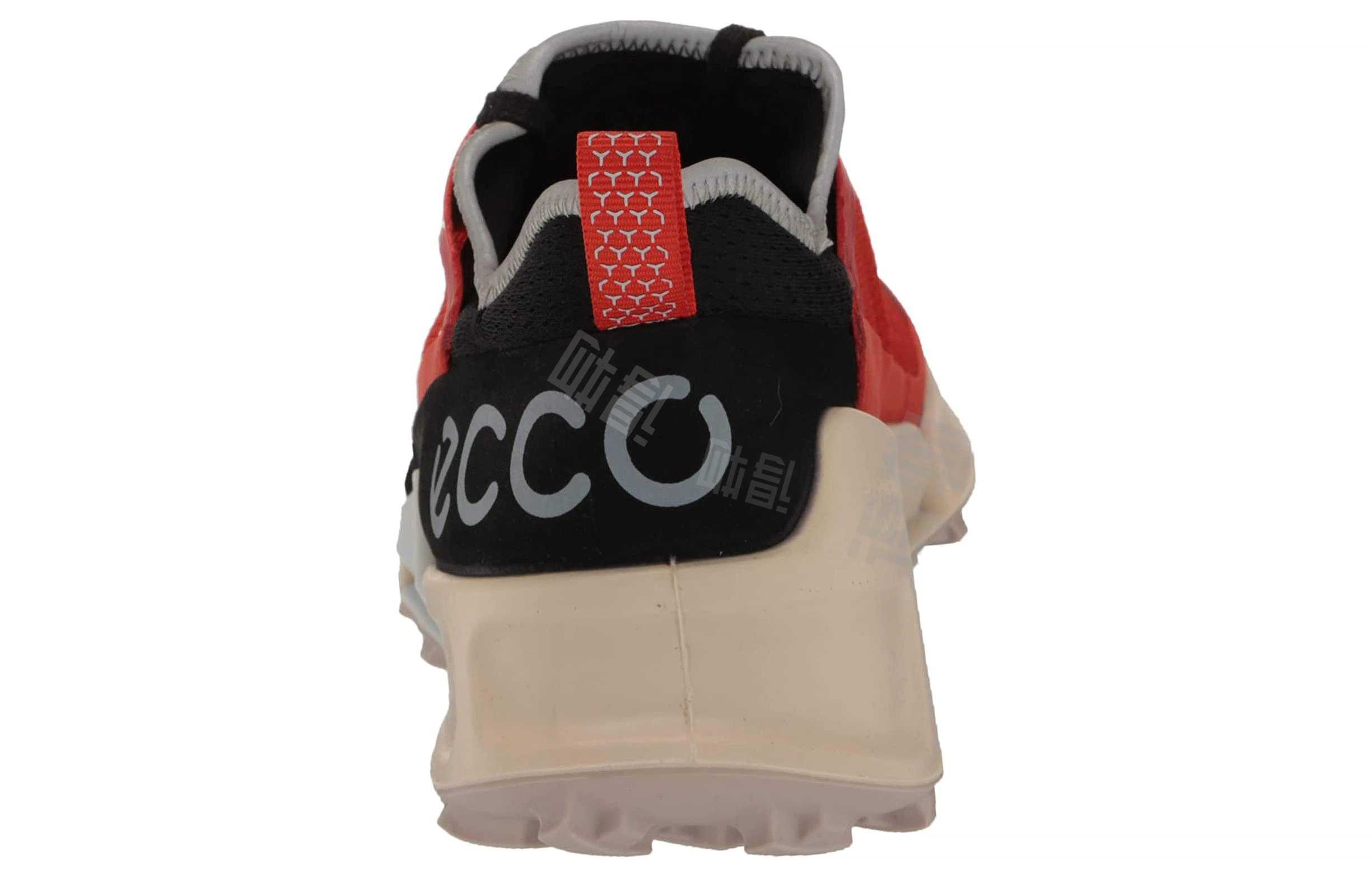 ecco 2.1