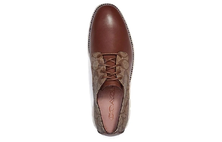 COACH Hybrid