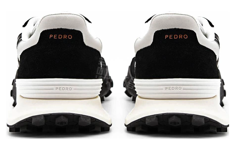 PEDRO Icon