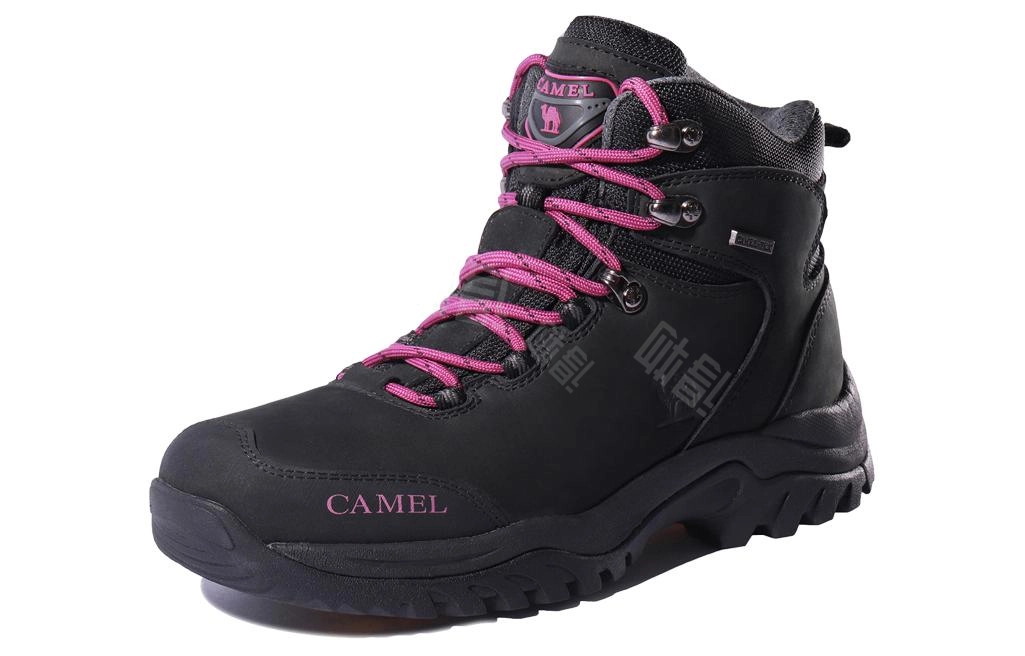 CAMEL