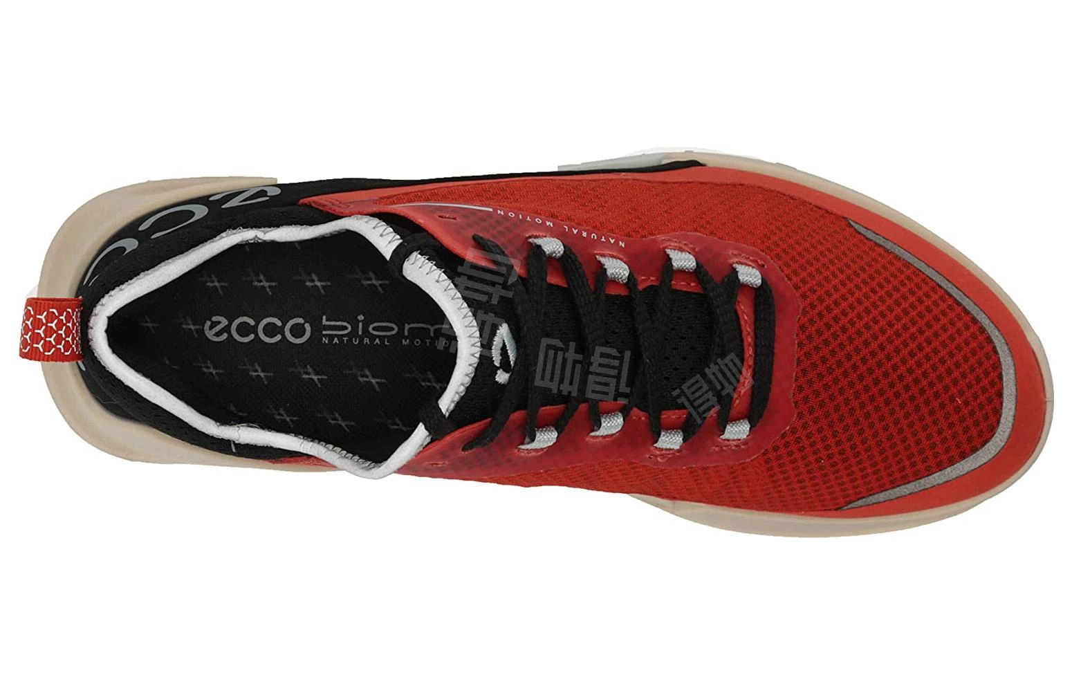 ecco 2.1