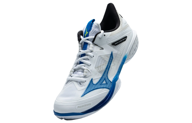Mizuno