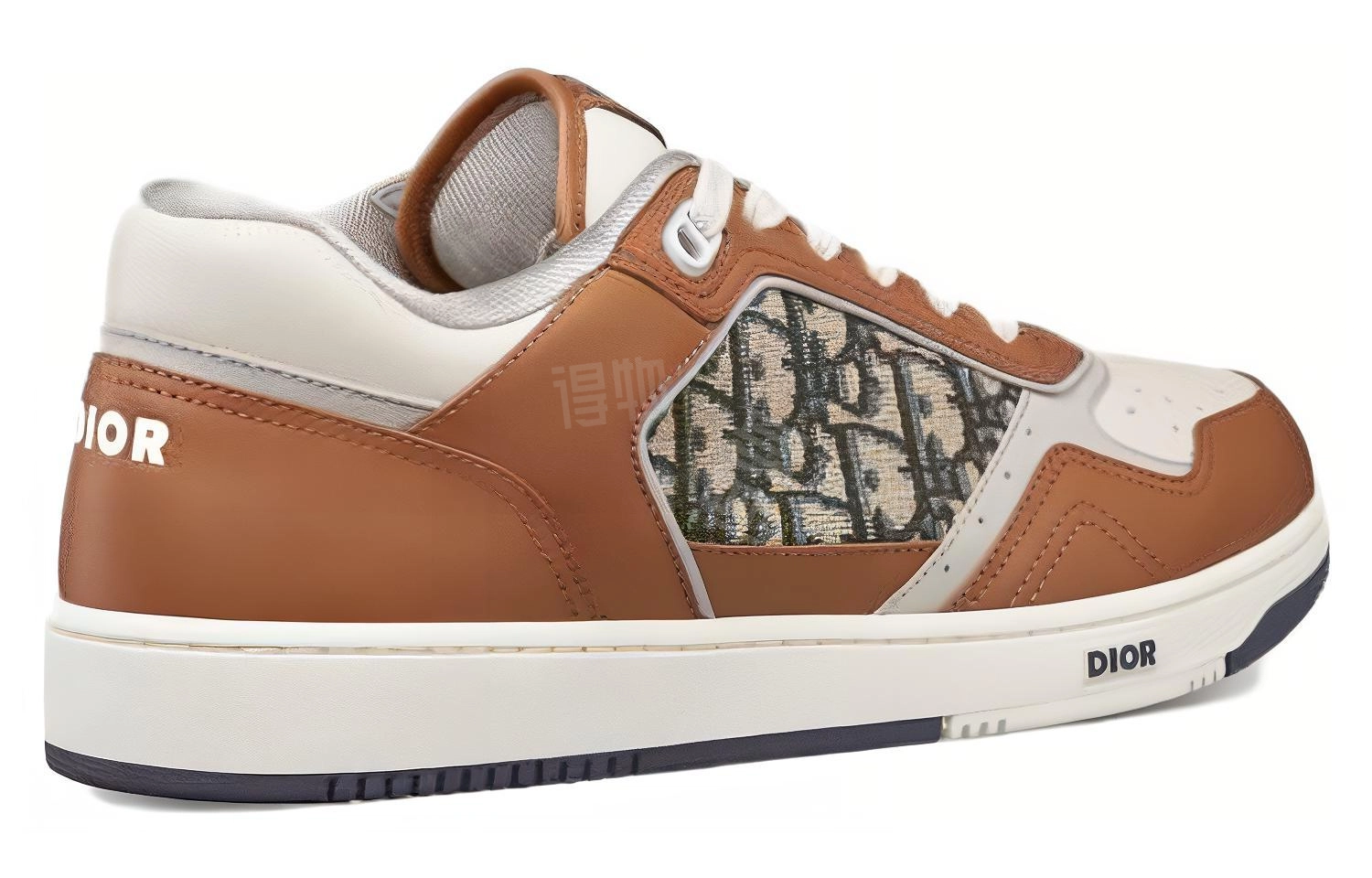 DIOR B27