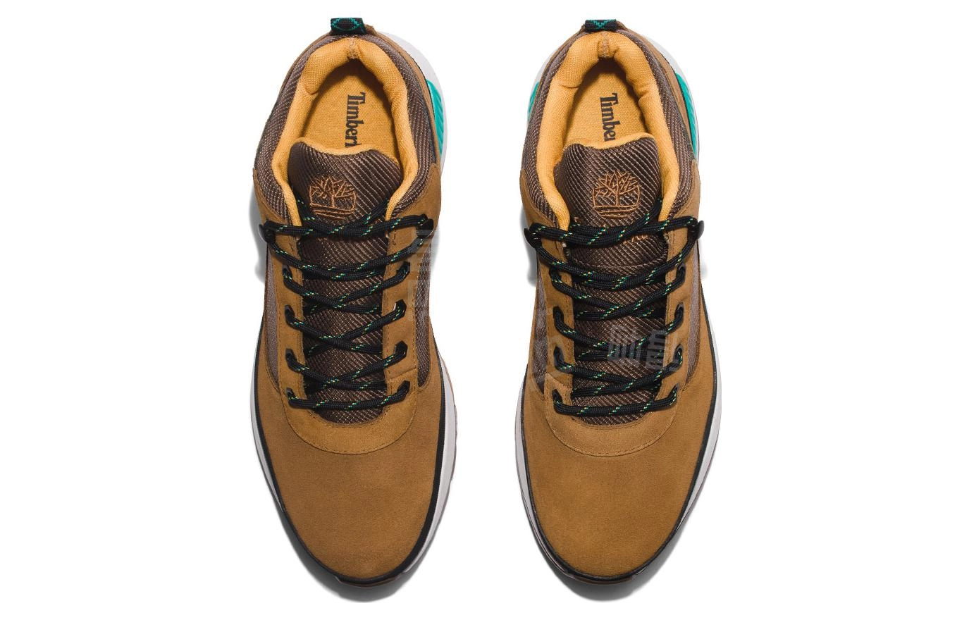 Timberland Field Trekker