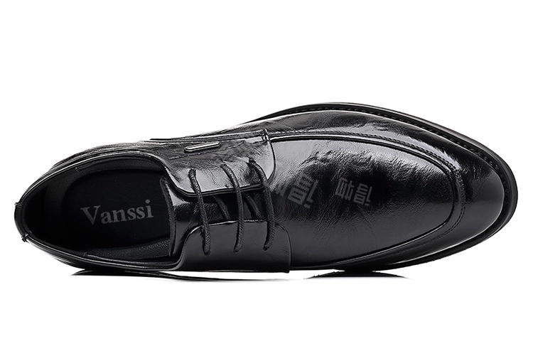 VANSSI
