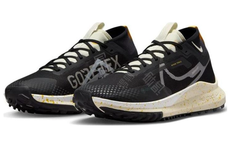 Nike Pegasus Trail 4 GTX