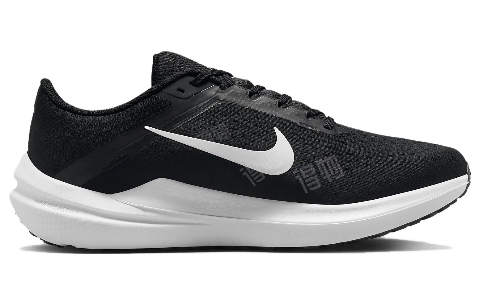 Nike Air Winflo 10