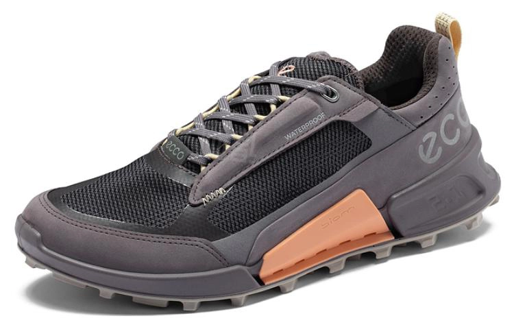 ecco 2.1