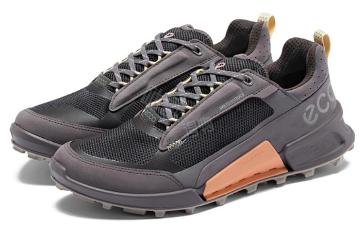 ecco 2.1
