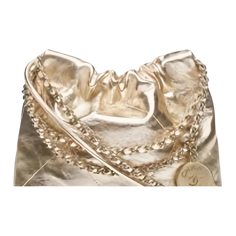 CHANEL 22Bag 25C