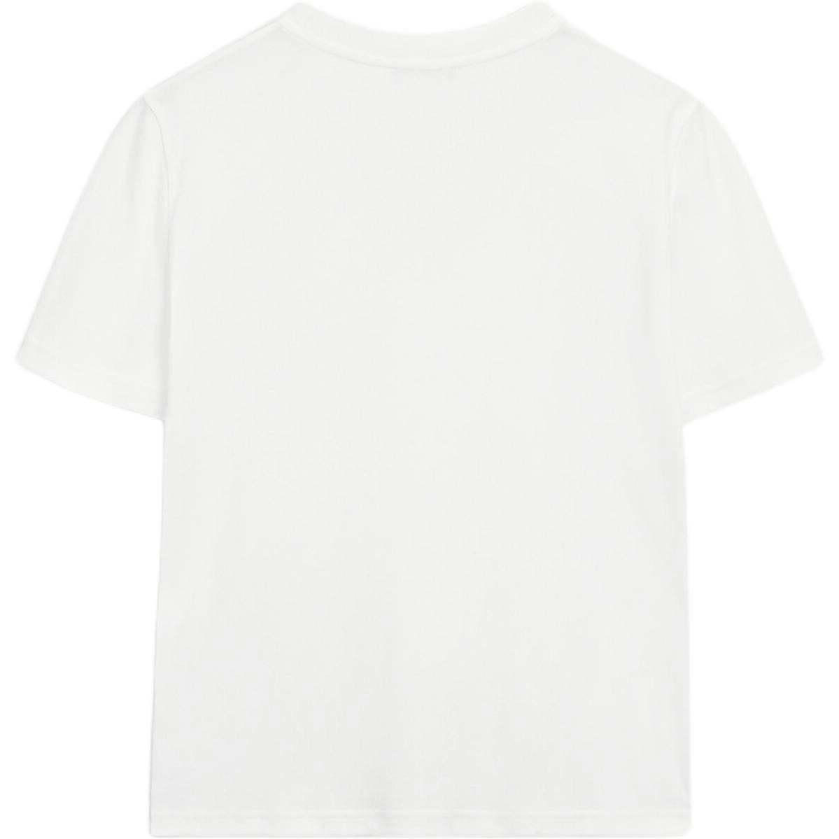 Massimo Dutti V T