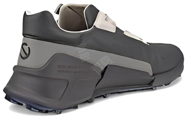 ecco 2.1
