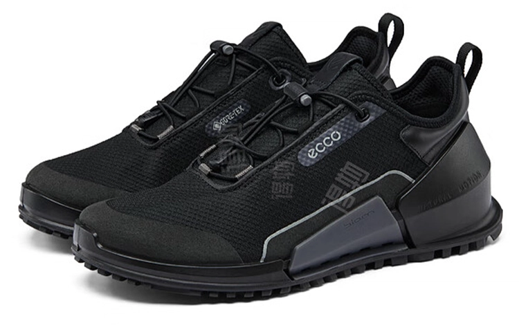ecco 2.0