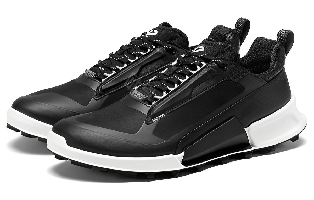 ecco 2.1