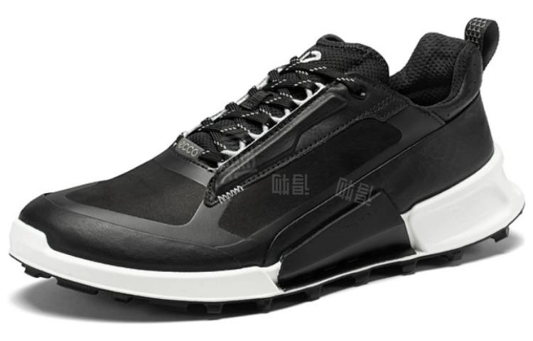 ecco 2.1