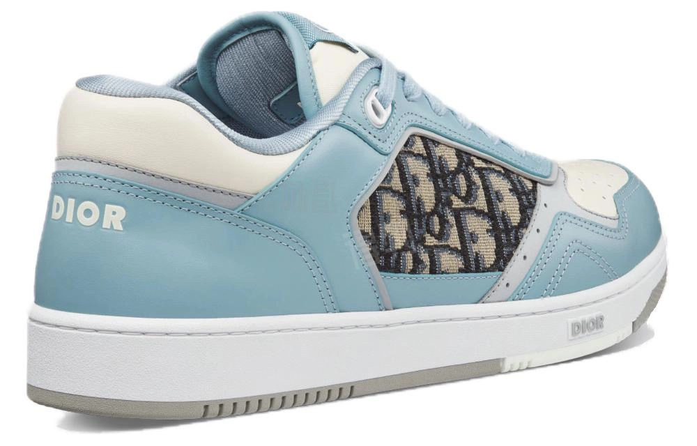 DIOR B27