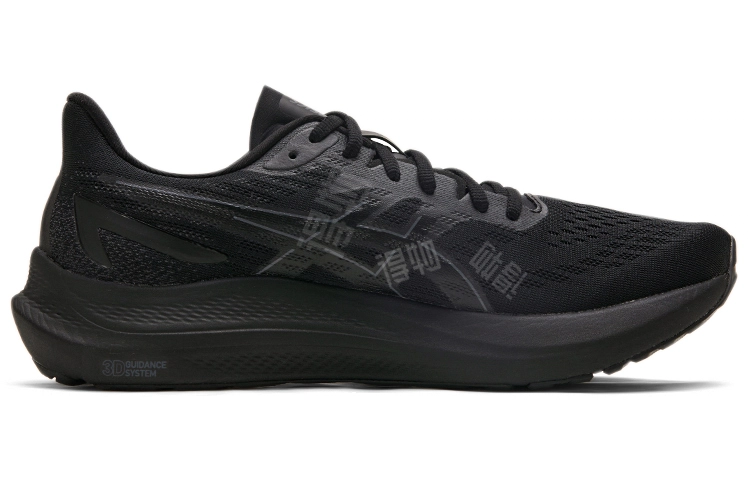 Asics GT-2000 12