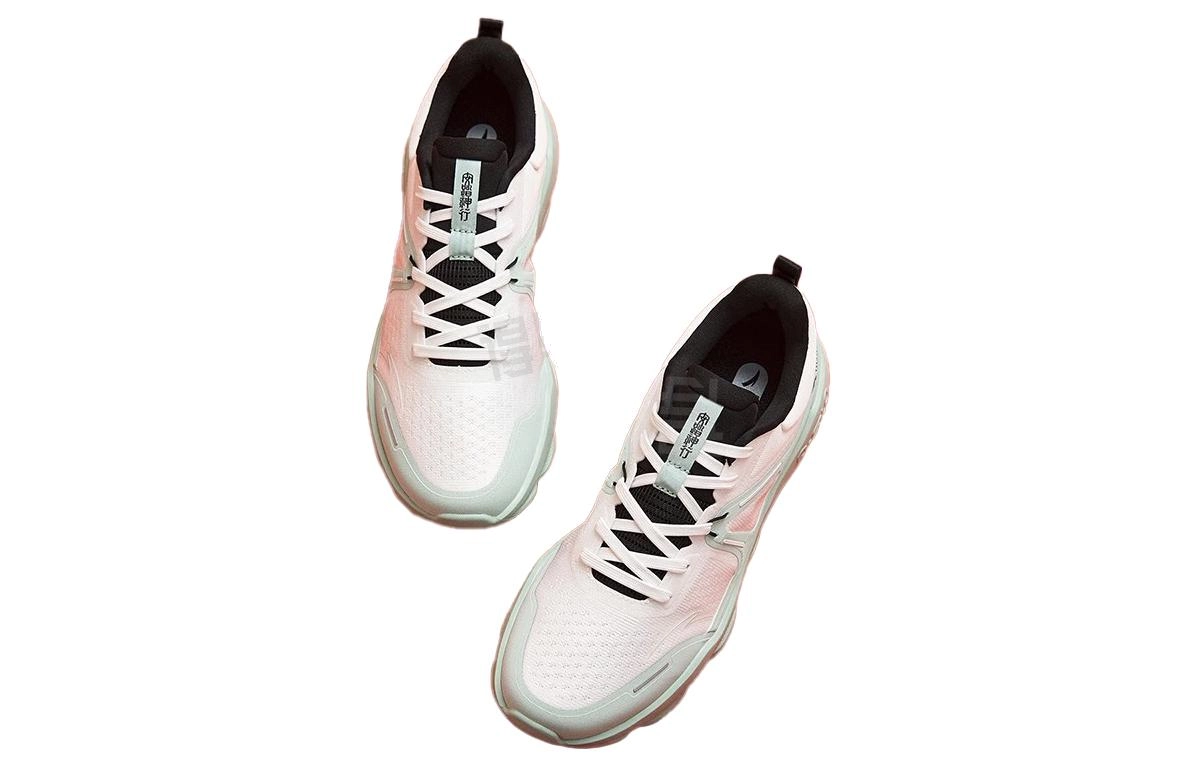 Anta