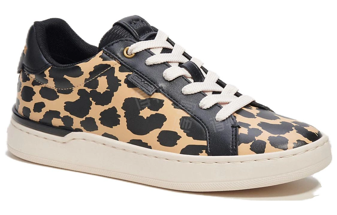 COACH Lowline